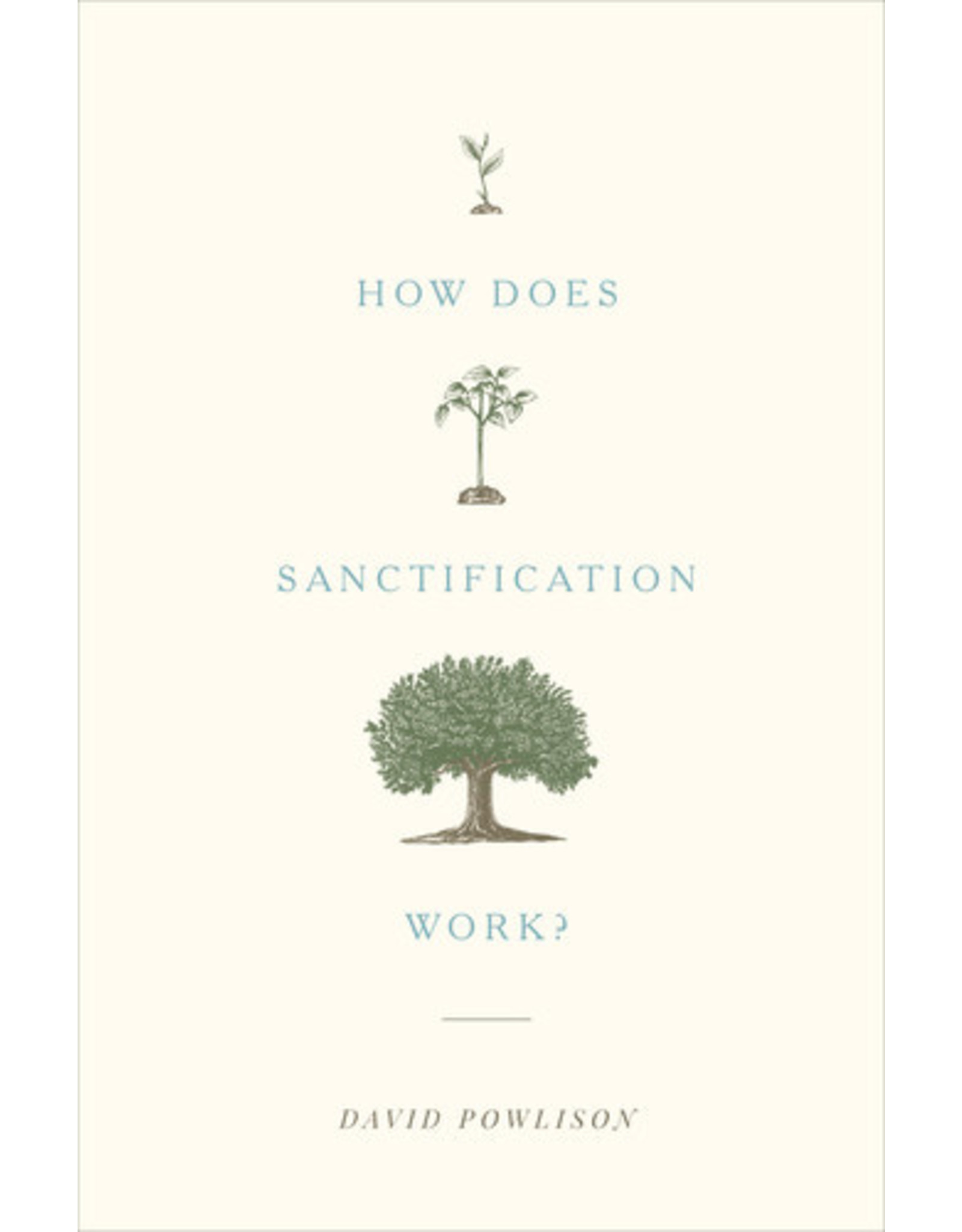 David Powlison How Does Sanctification Work?