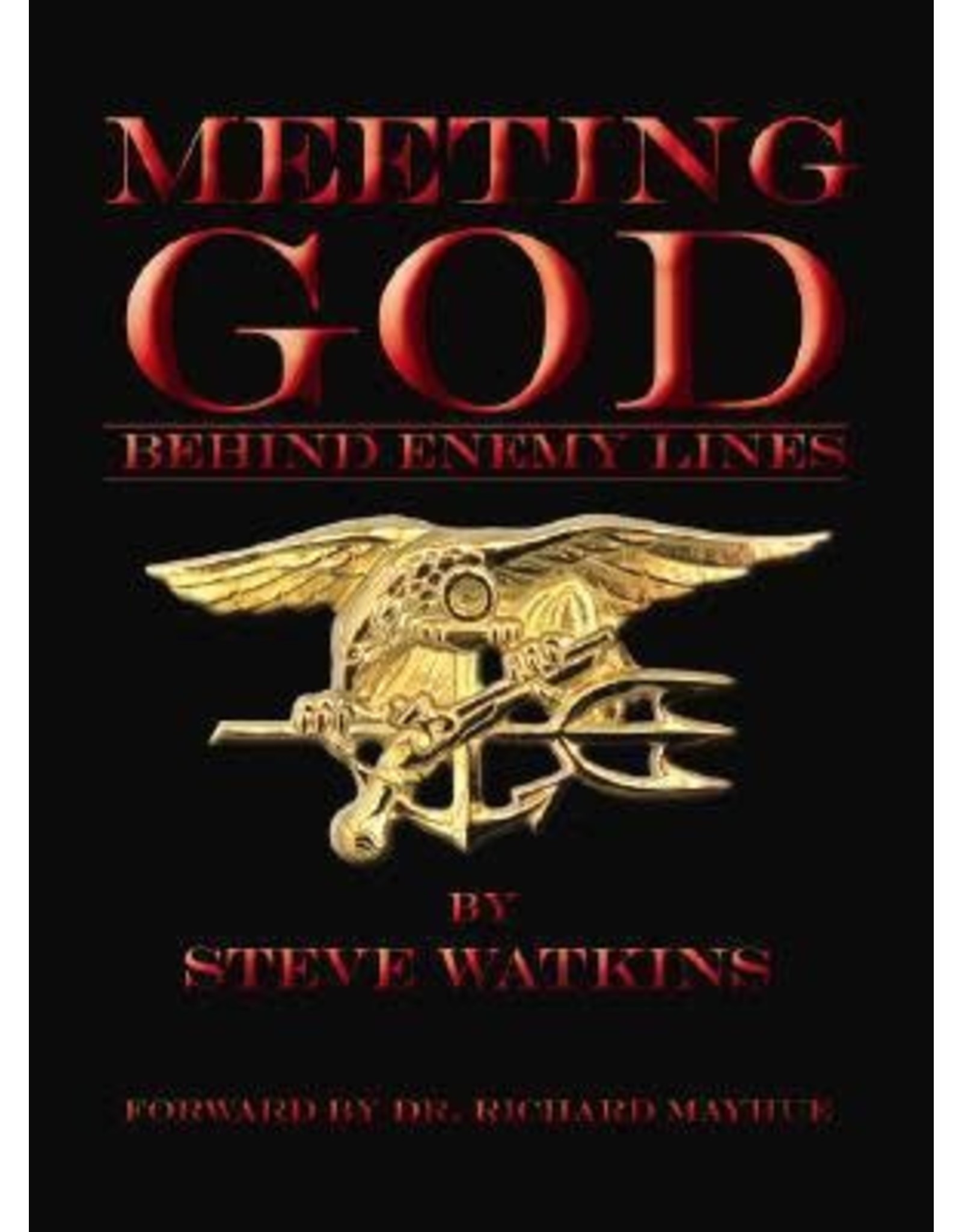 Steve Watkins Meeting God behind Enemy Lines