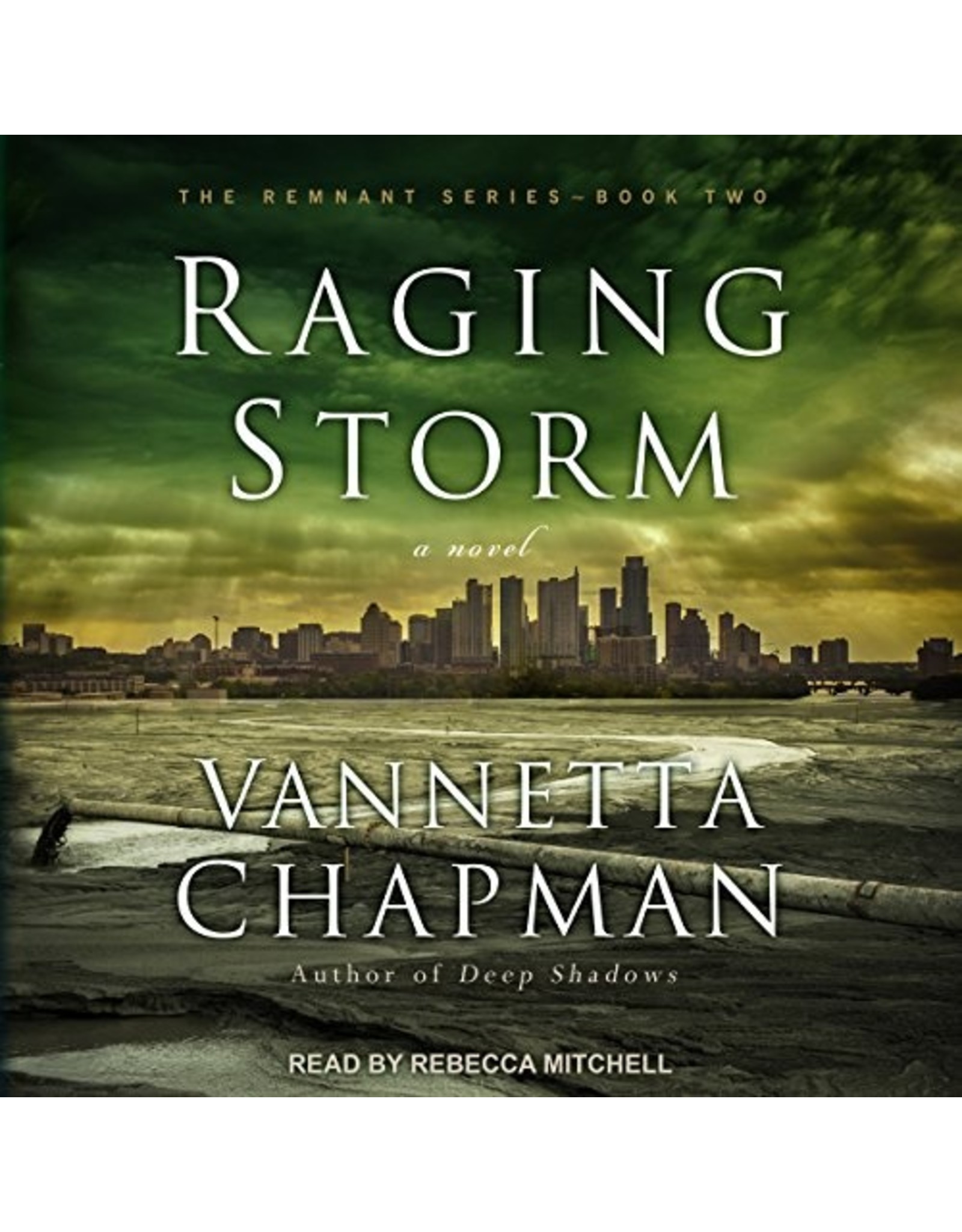 Chapman Raging Storm - Remnant Series, Book 2