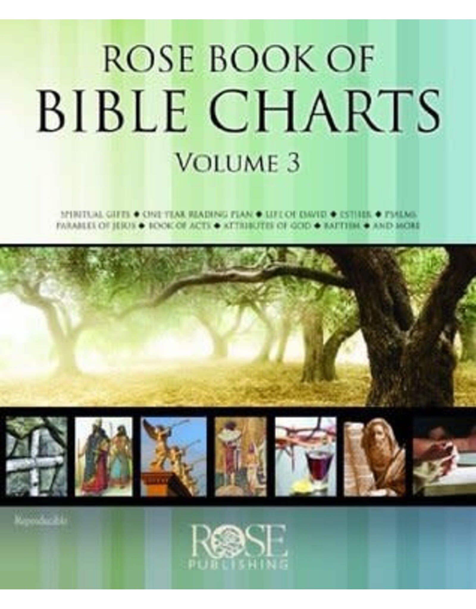 Rose Publishing Rose Book of Bible Charts Vol. 3