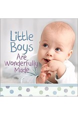 Little Boys are Wonderfully Made