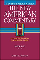 Borchert New American Commentary - John 1-11