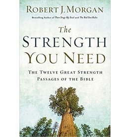 Robert J Morgan The Strength You Need