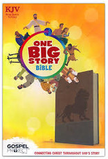 Holman One Big Story Bible
