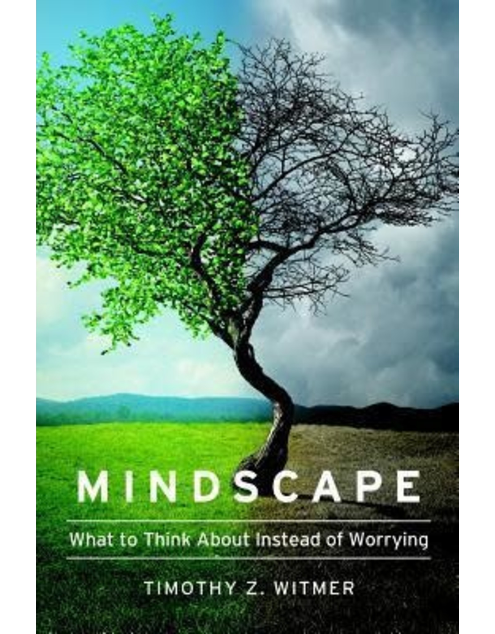 Timothy Z Witmer Mindscape, What to think about Instead of Worrying