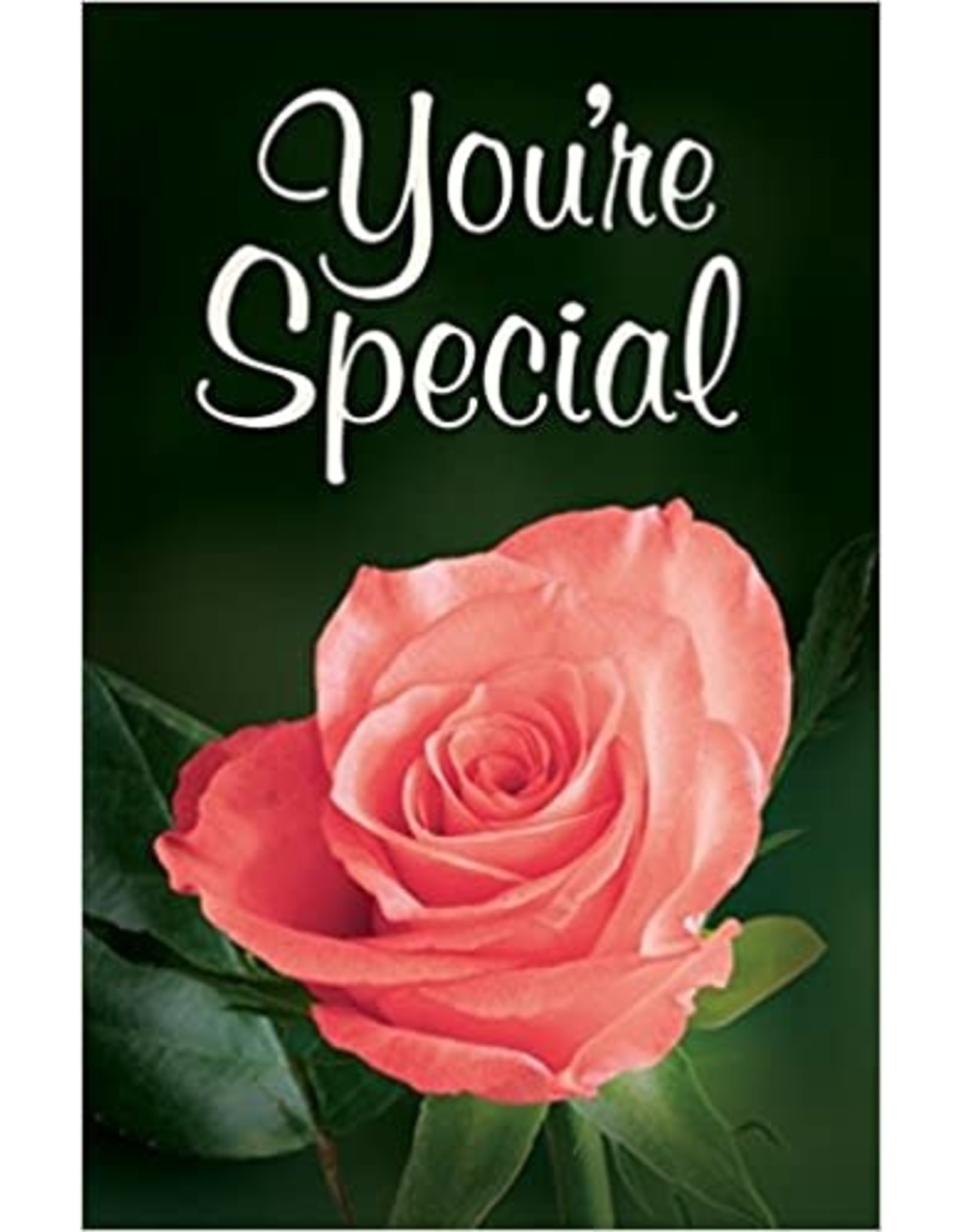 Griffiin You're Special - 25 pack