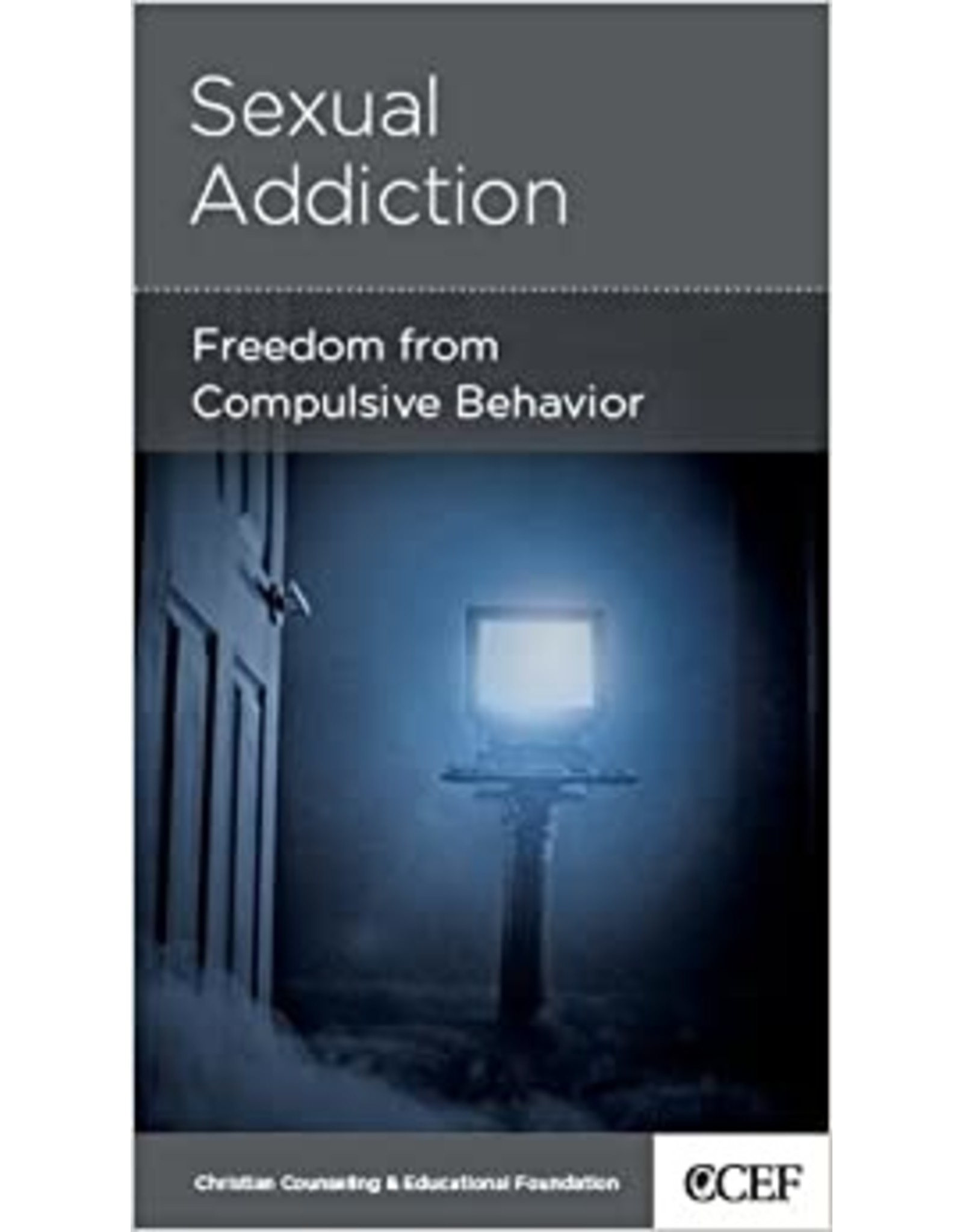 David Powlison Sexual Addiction: Freedom from Compulsive Behaviour