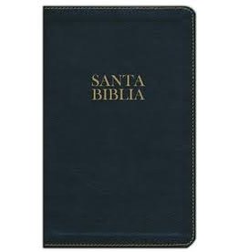 Holman Santa Biblia - BURGUNDY