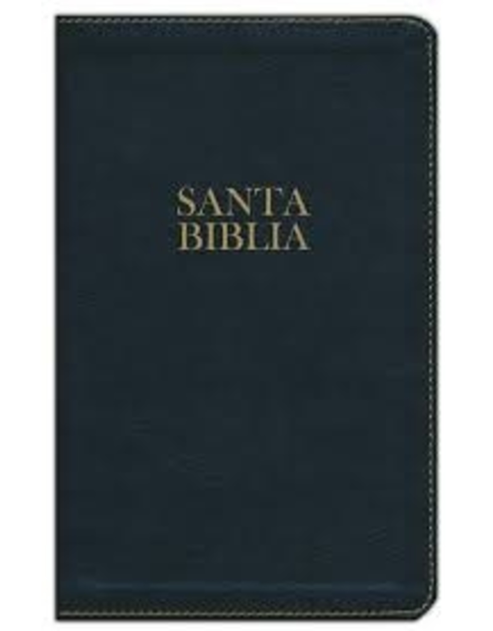 Holman Santa Biblia - BLUE