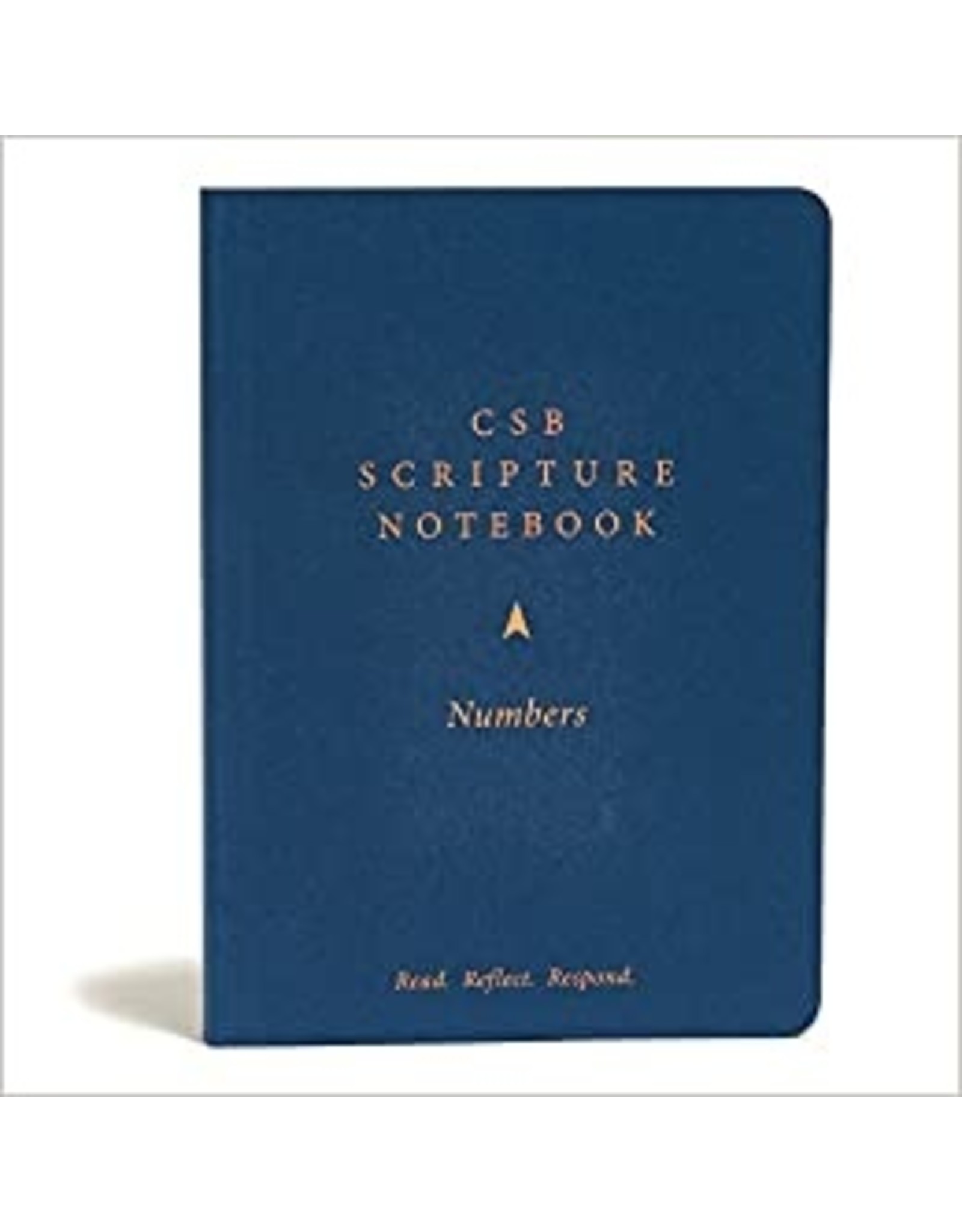 Holman CSB Scripture Notebook - Numbers