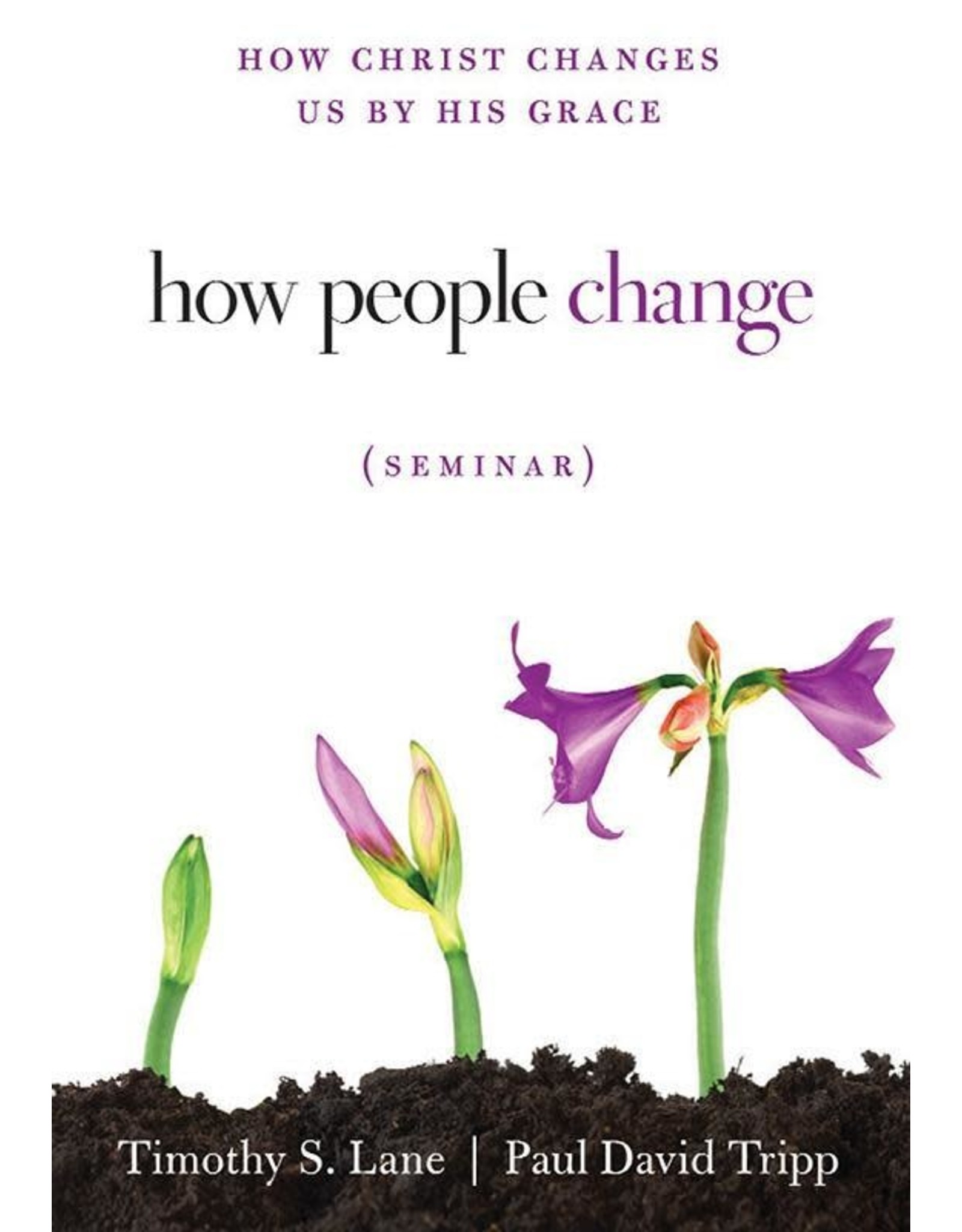 Paul David Tripp How People Change DVD Seminar