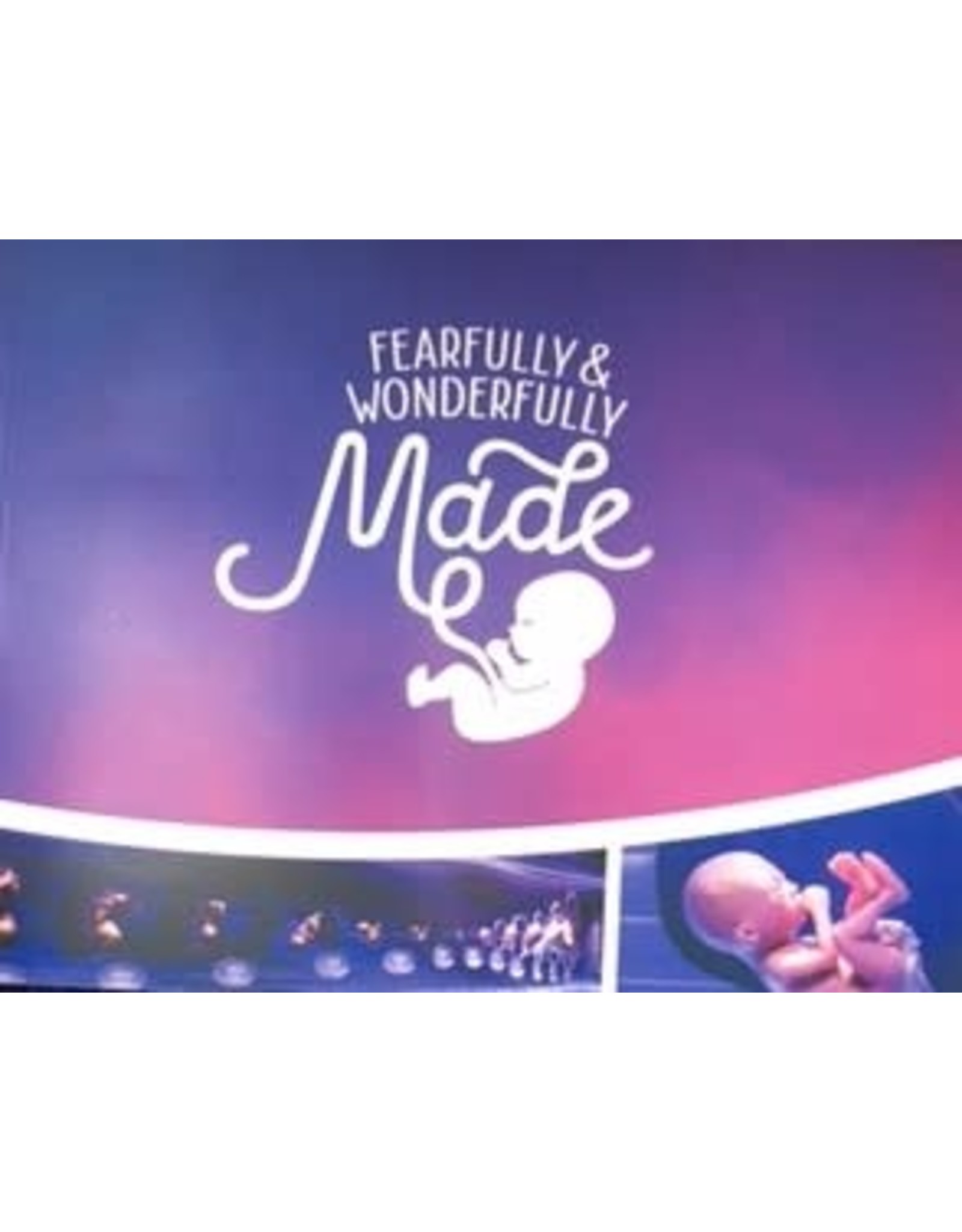 Answers In Genesis Fearfully and Wonderfully Made