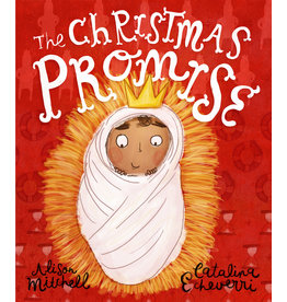 Alison Mitchell The Christmas Promise