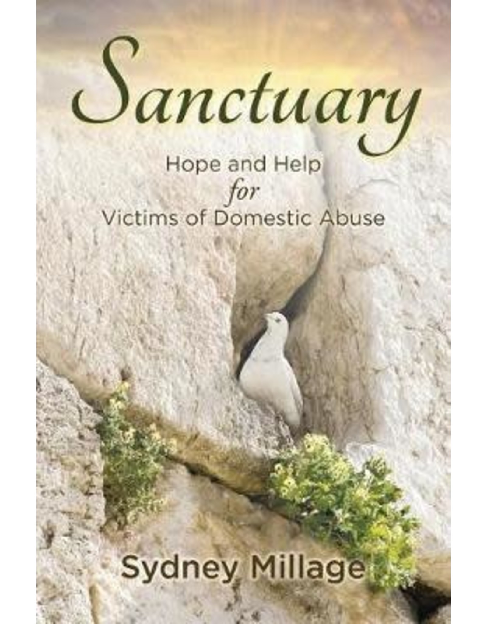 Sydney Millage Sanctuary Hope and Help for Victims of Domestic Abuse
