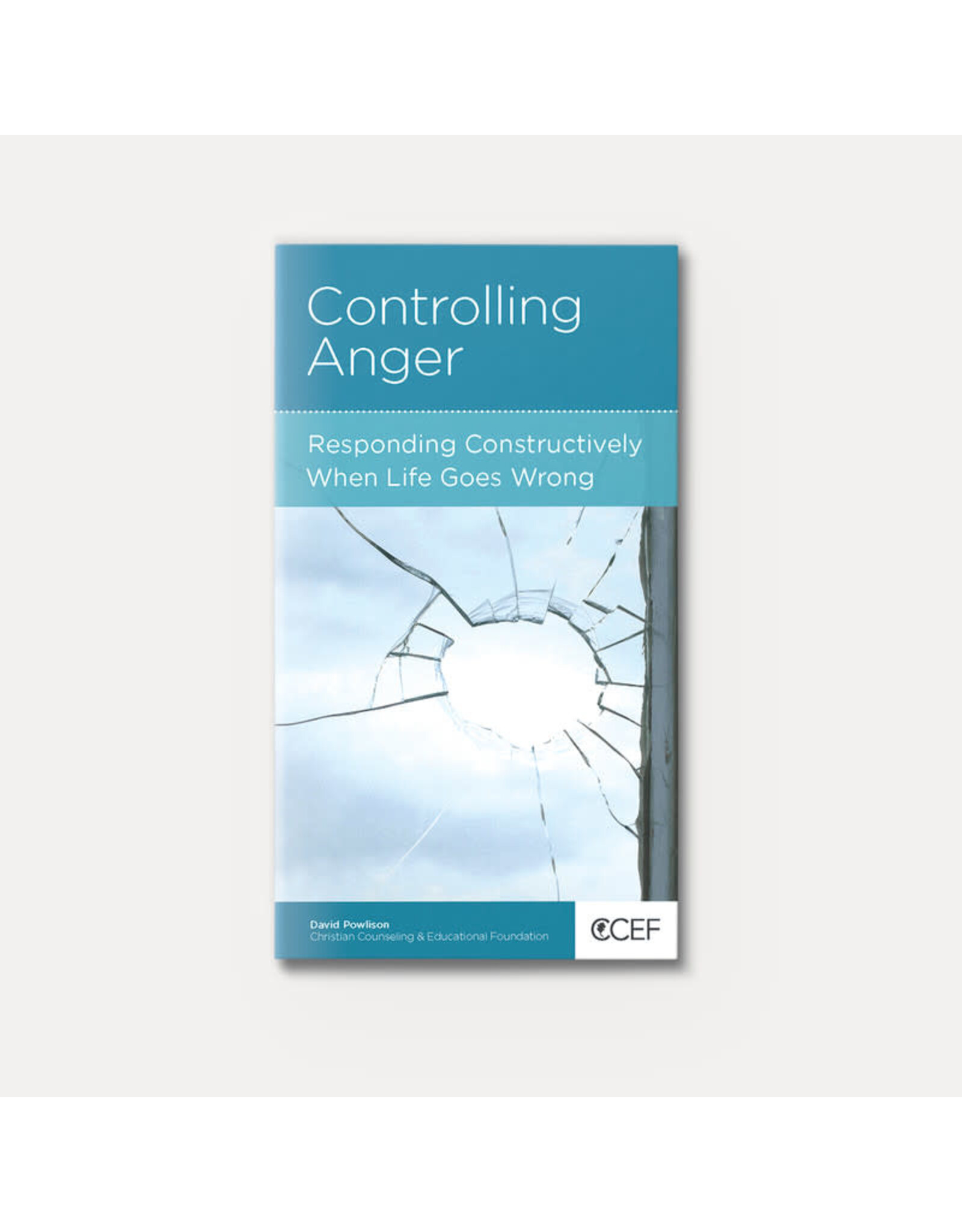 David Powlison Controlling Anger: Responding Constructively When Life Goes Wrong
