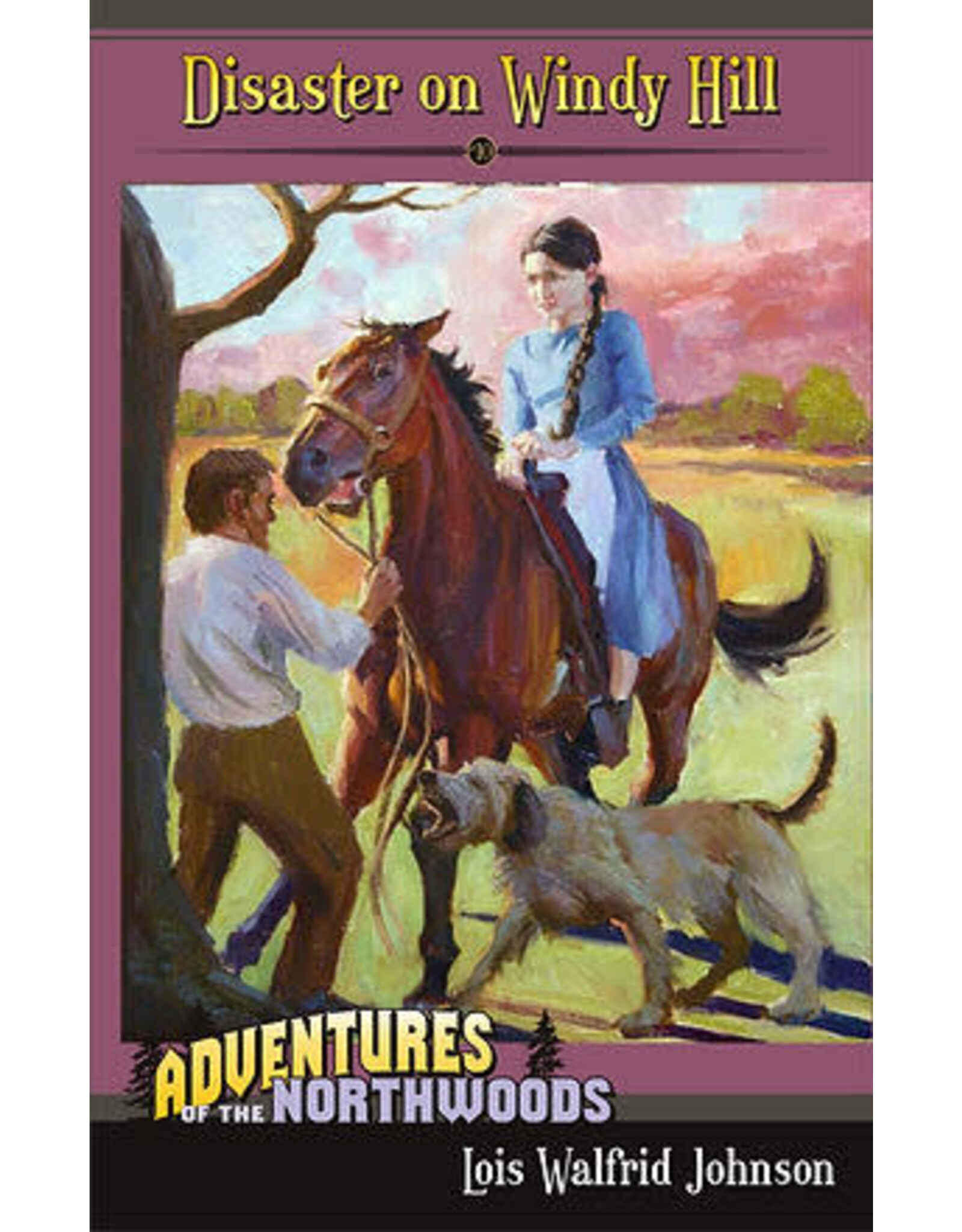 Lois Walfrid Johnson Adventures of the Northwoods Series: Disaster on Windy Hill - Book 10