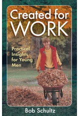 Bob Schultz Created for Work: Practical Insights for Young Men
