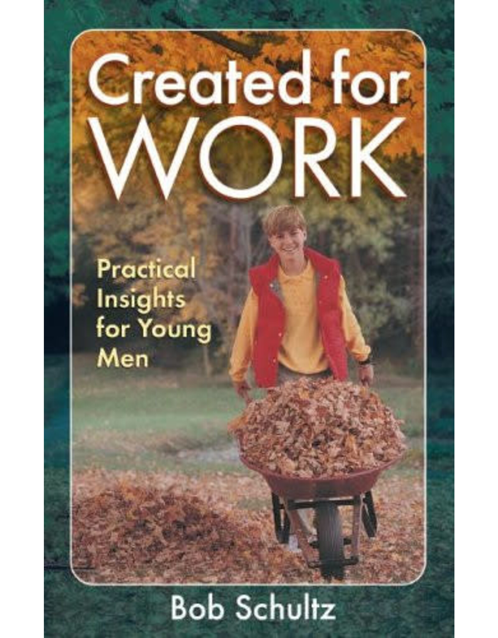 Bob Schultz Created for Work: Practical Insights for Young Men