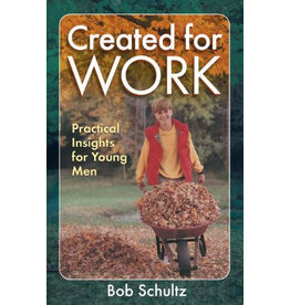Bob Schultz Created for Work: Practical Insights for Young Men