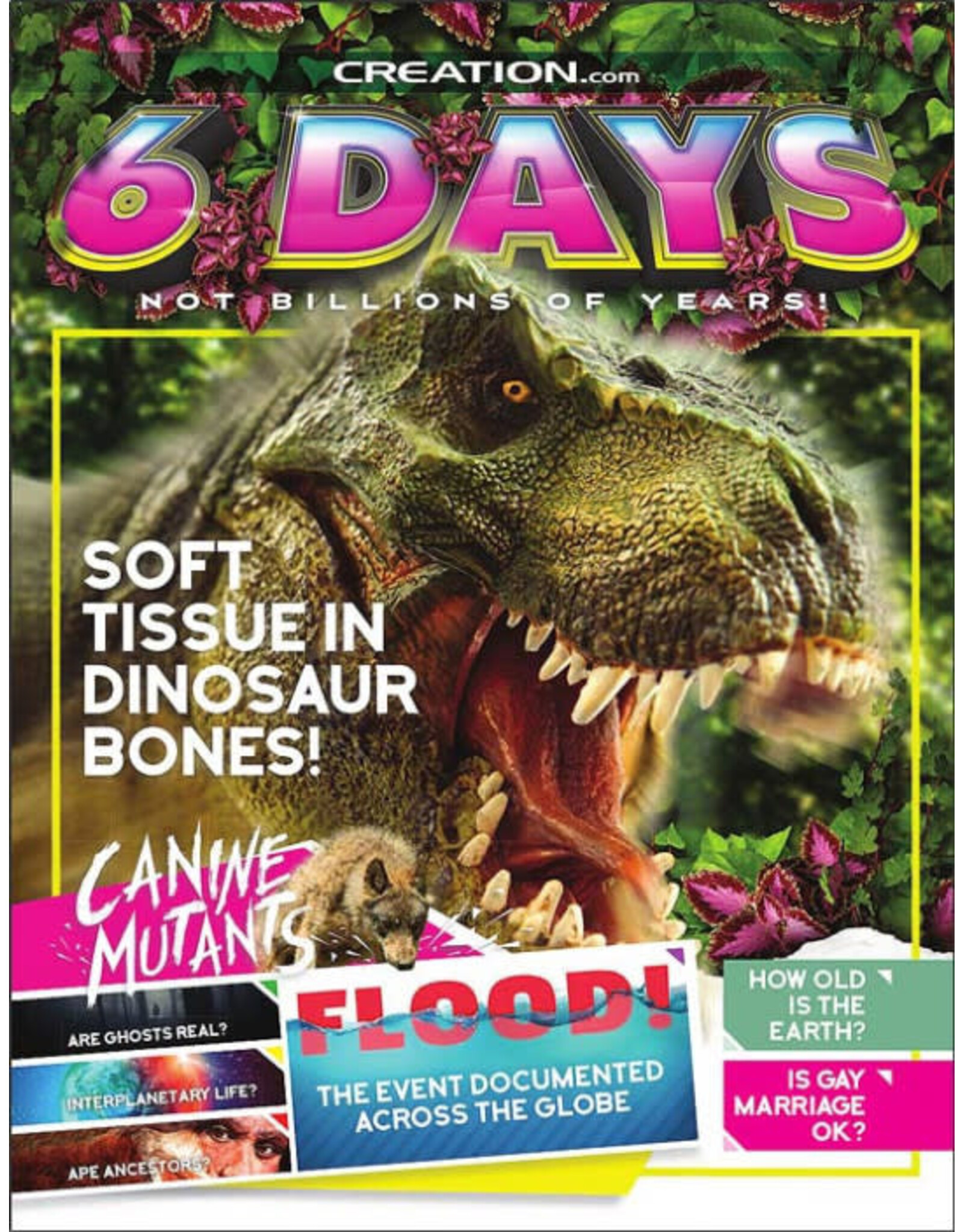 6 Days Not Billions of Years