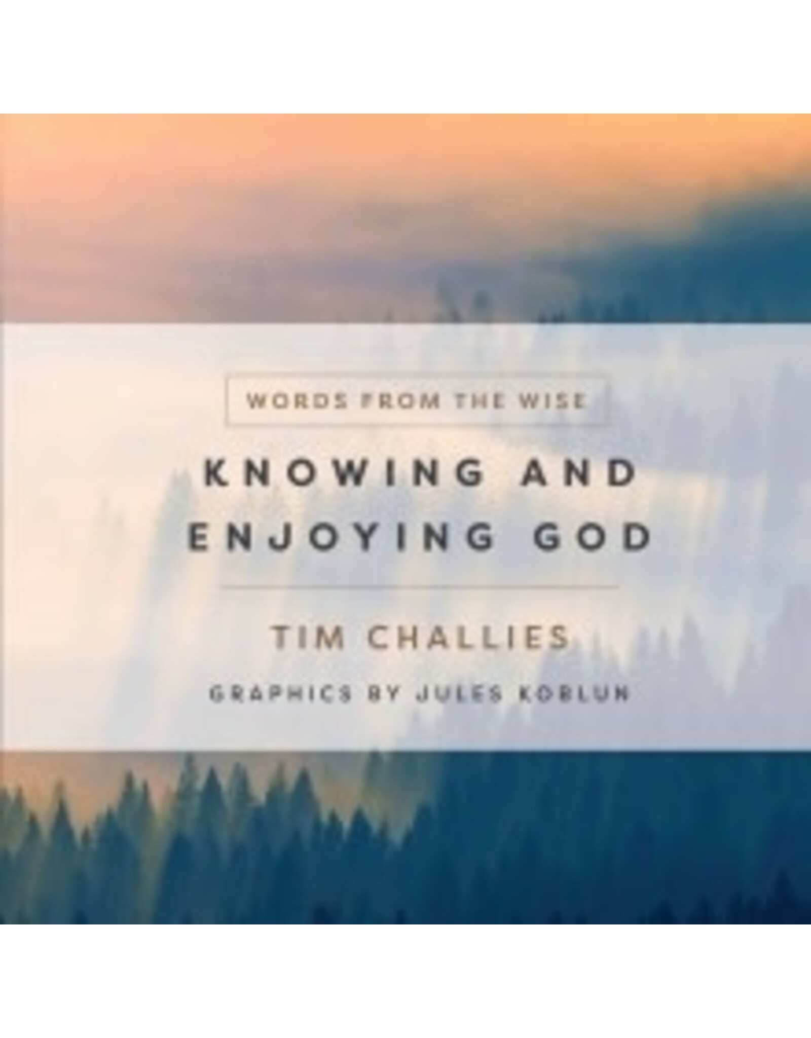Tim Challis Knowing and Enjoying God