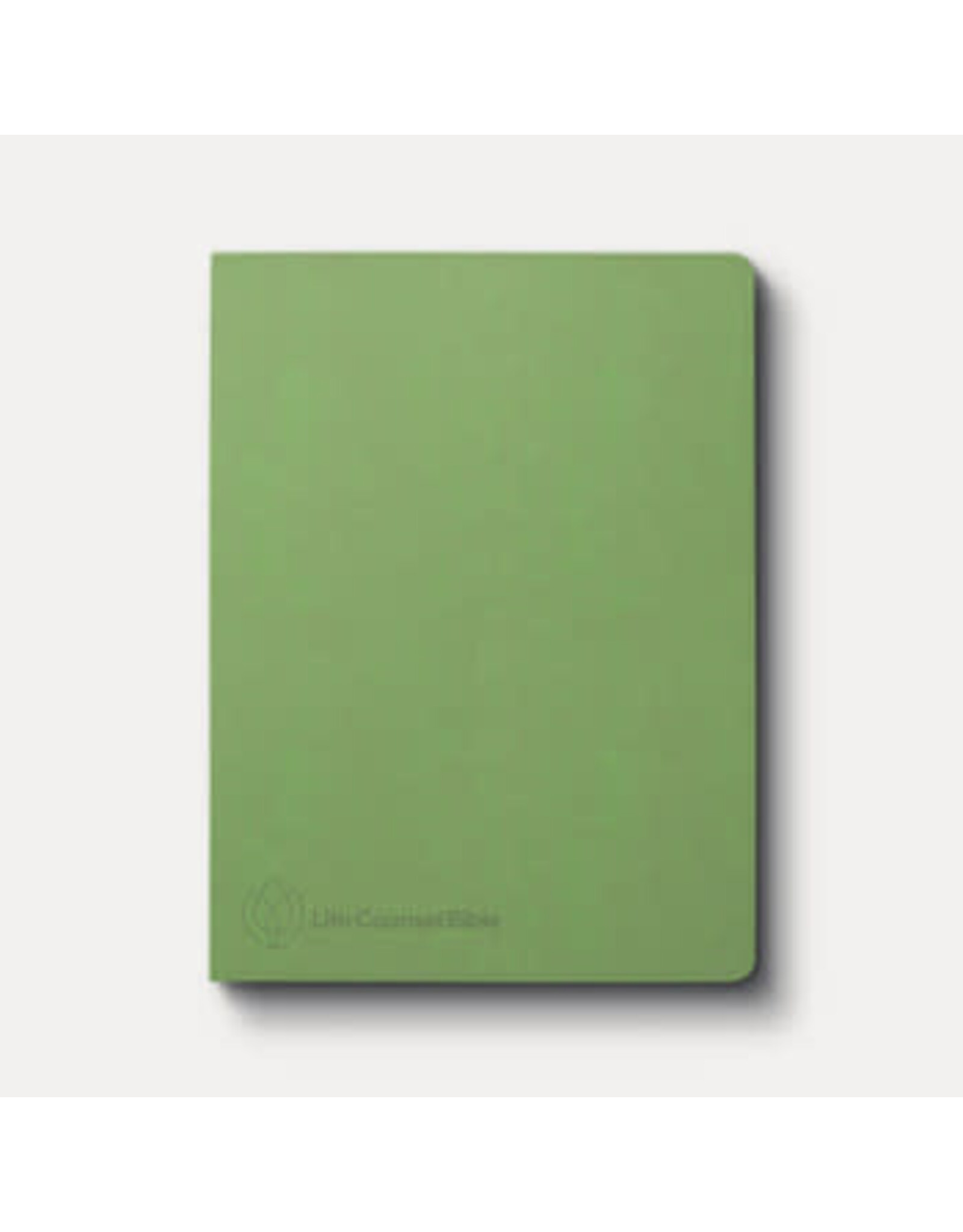 CSB Life Counsel Bible: Practical Wisdom for All of Life (Apple Green)