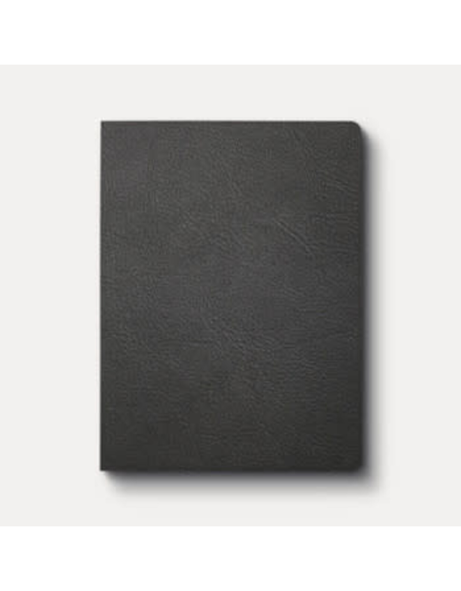 CSB Life Counsel Bible: Practical Wisdom for All of Life (Black Genuine Leather)