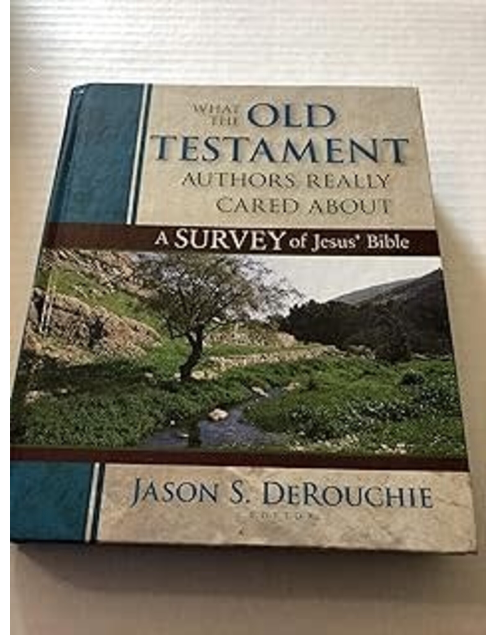 What the Old Testament Authors Really Cared About