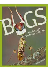 Willaim Zinke Bugs - Big and Small God Made Them All