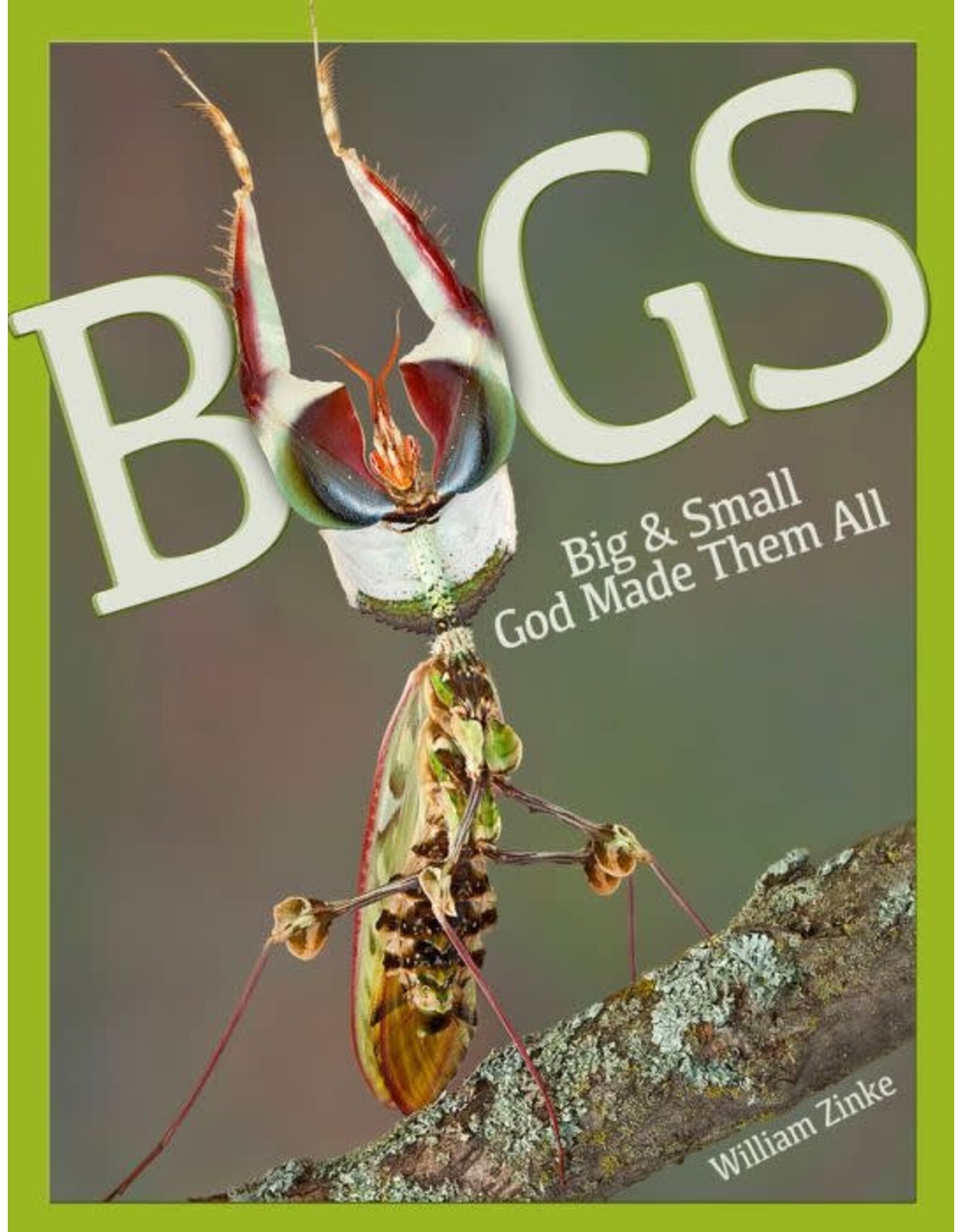 Willaim Zinke Bugs - Big and Small God Made Them All