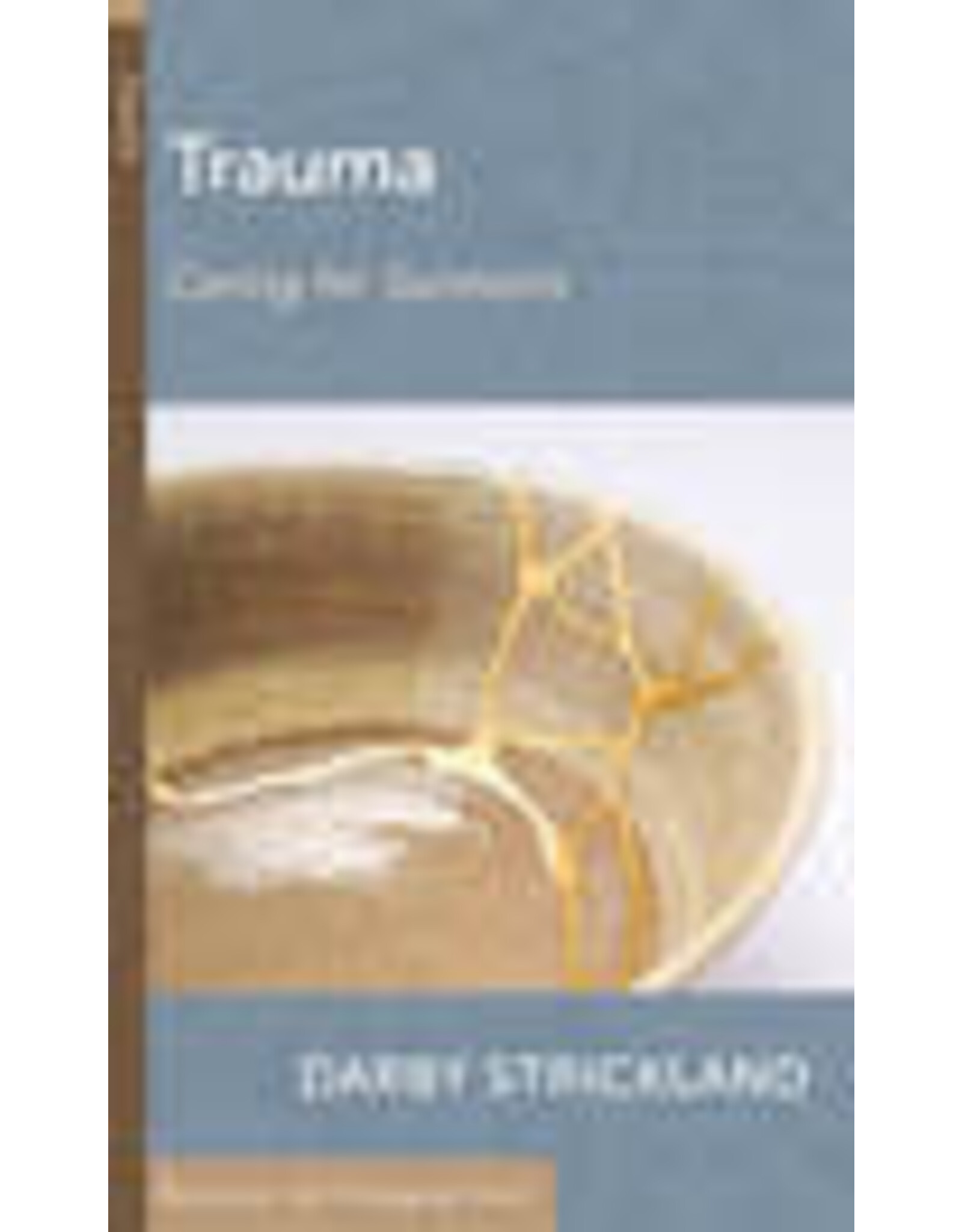 Darby Strickland Trauma - Caring for Survivors