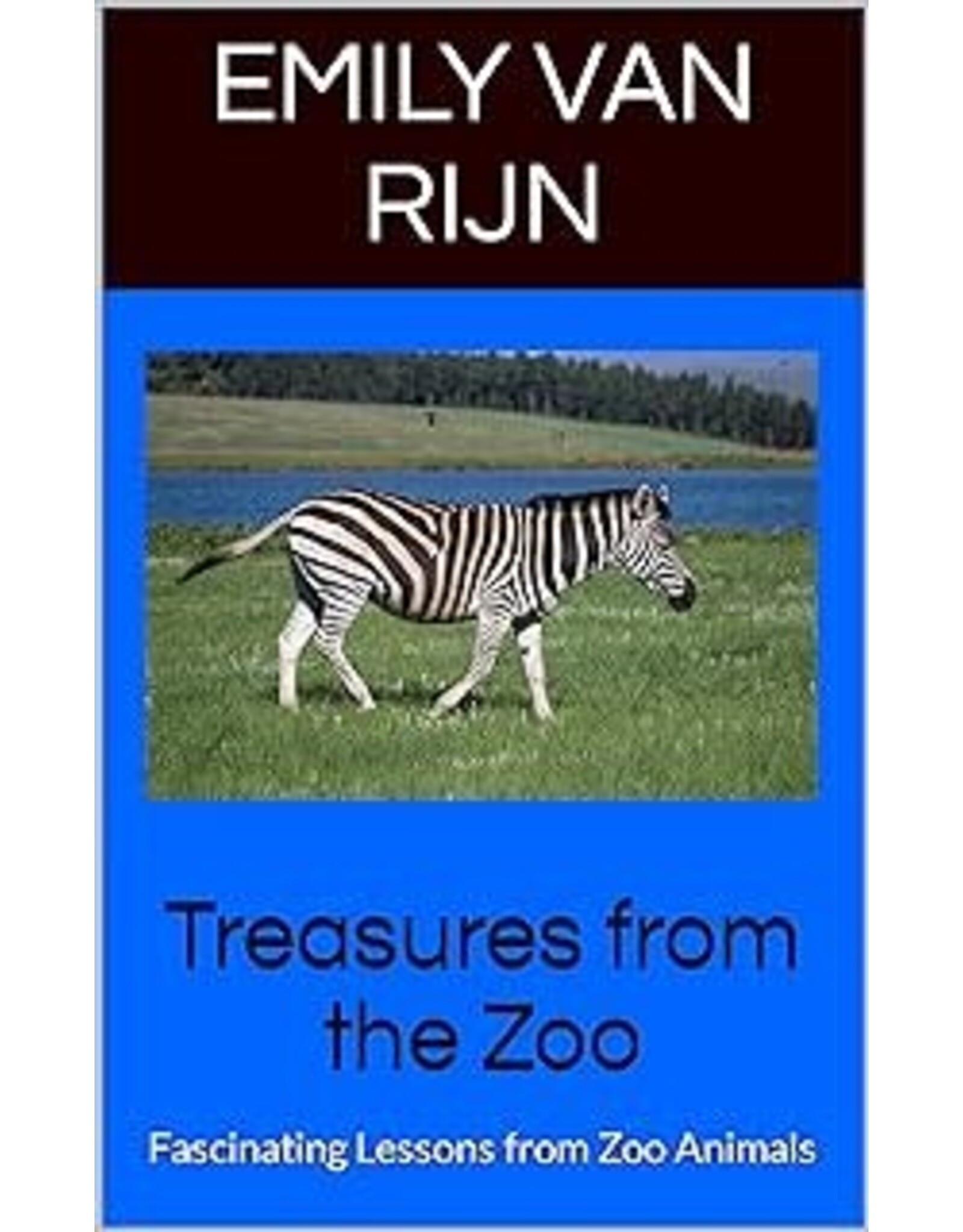 Emily van Rijn Treasures from the Zoo - Fascinating Lessons from Zoo Animals