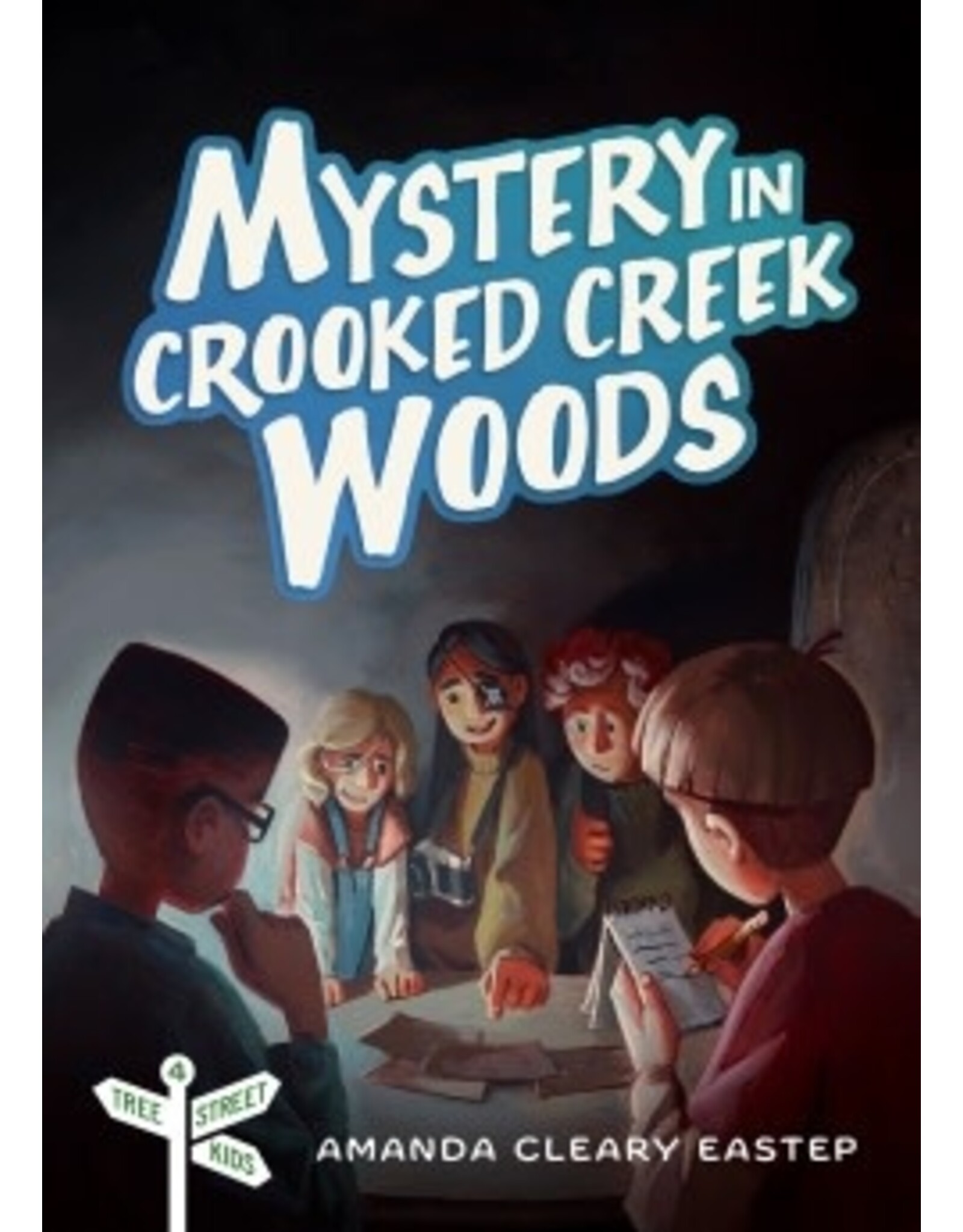 Amanda Cleary Eastep Mystery In Crooked Creek Wood