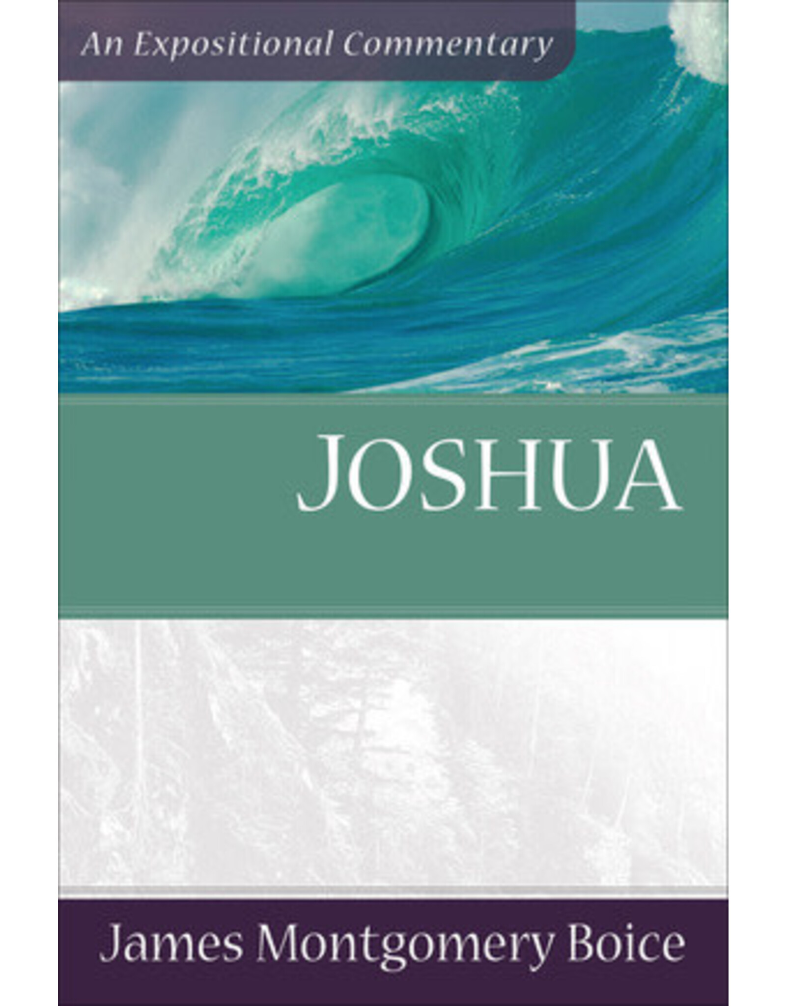 James Montgomery Boice Joshua: An Expositional Commentary