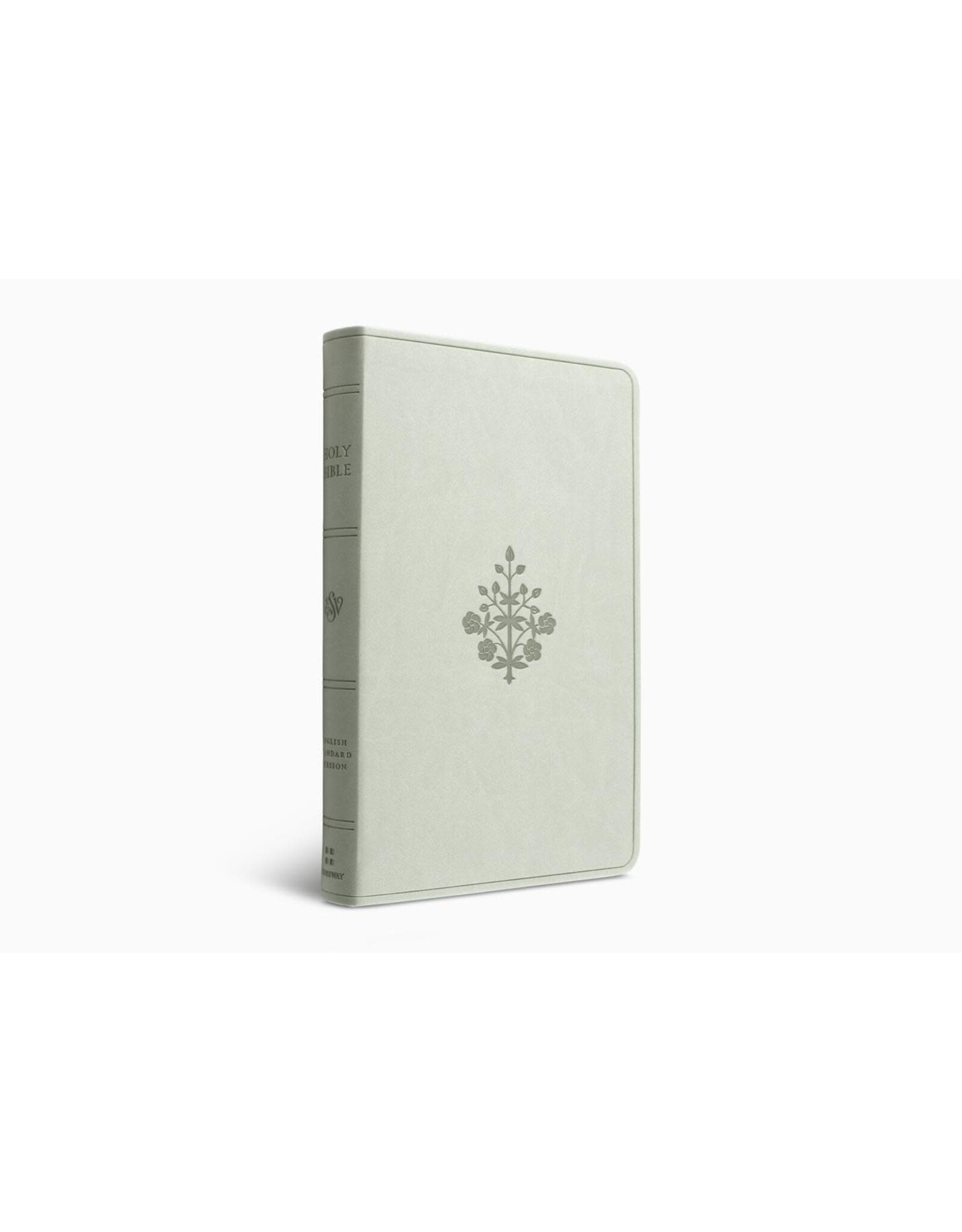 ESV Large Print Value Thinline Bible, TT River Stone