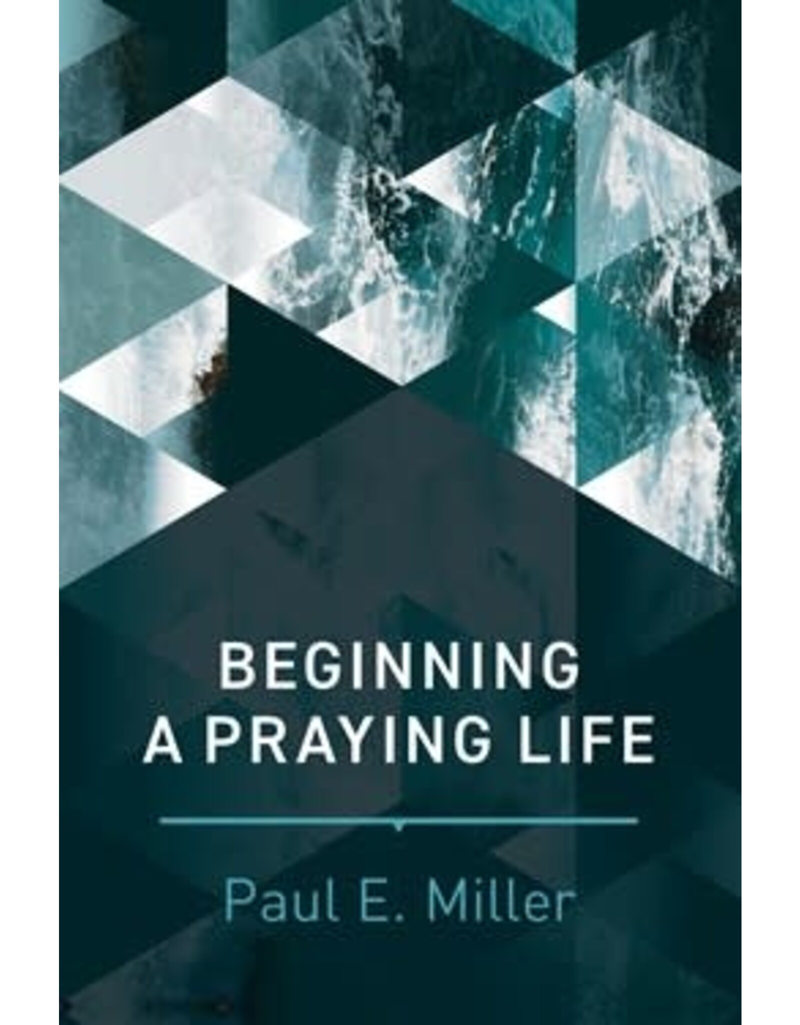 Paul E Miller Beginning a Praying Life
