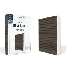 NIV Holy Bible for Boys