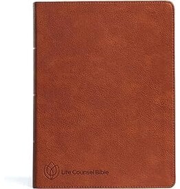 CSB Life Counsel Bible: Practical Wisdom for All of Life (Sienna)
