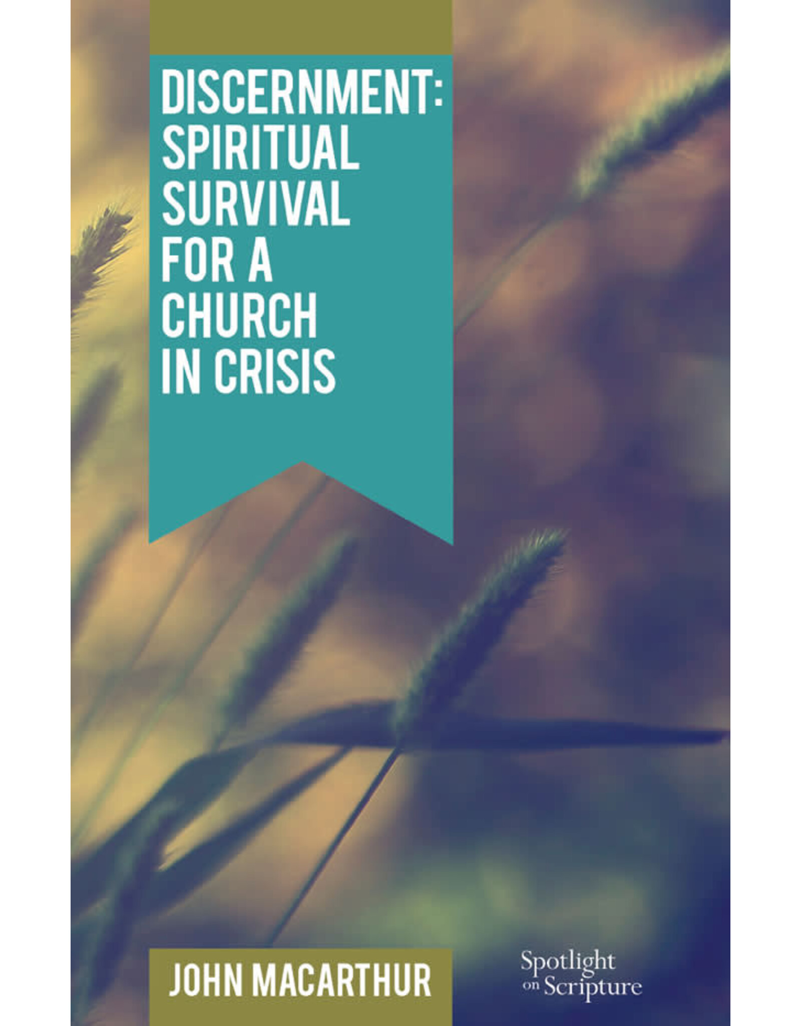 John MacArthur Discernment