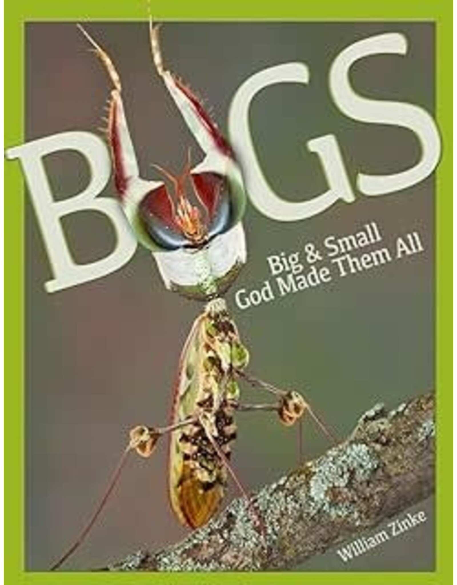 Willaim Zinke Bugs - Big and Small God Made Them All