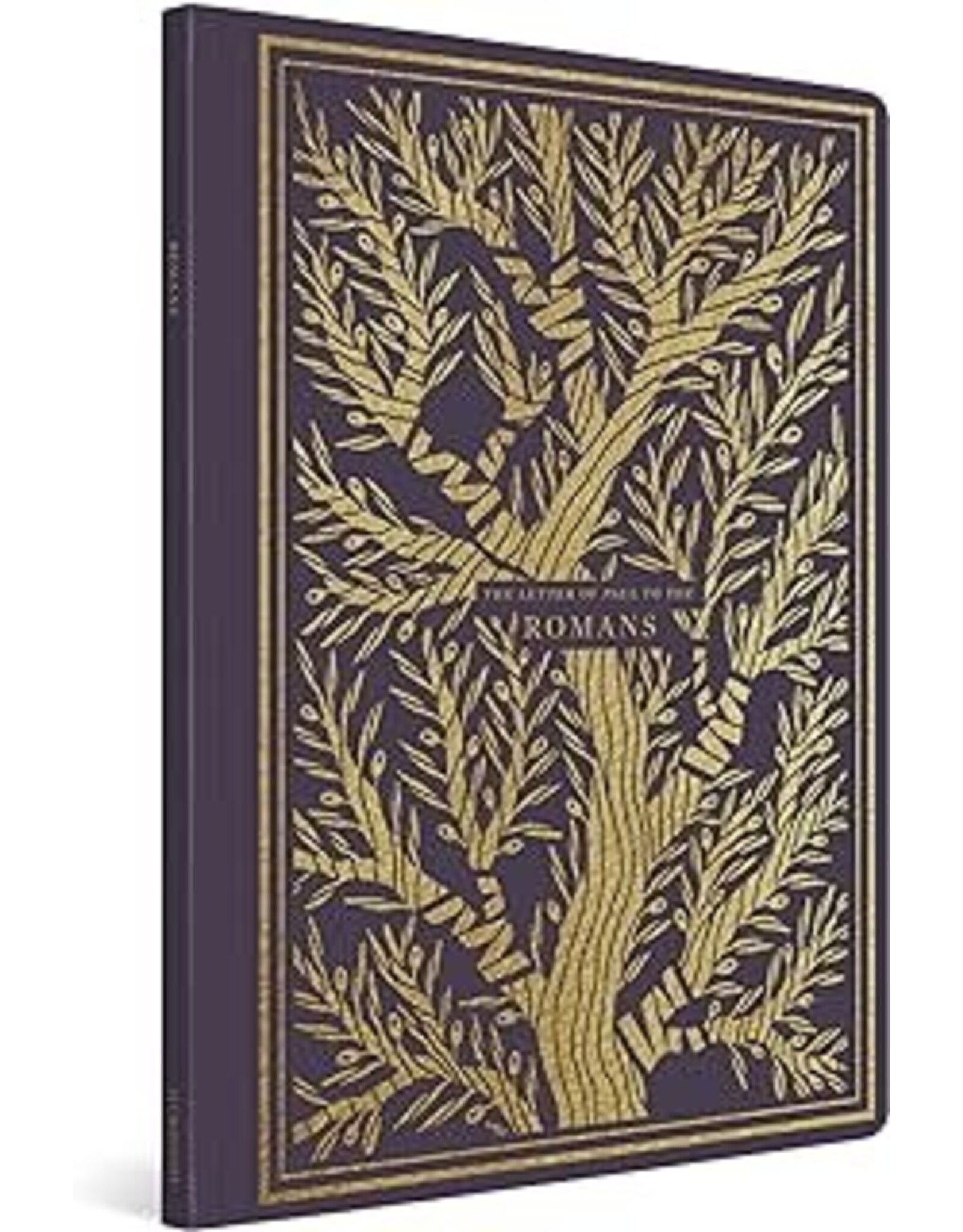 ESV Illuminated Scripture Journal: Romans
