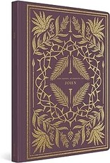 ESV Illuminated Scripture Journal: John