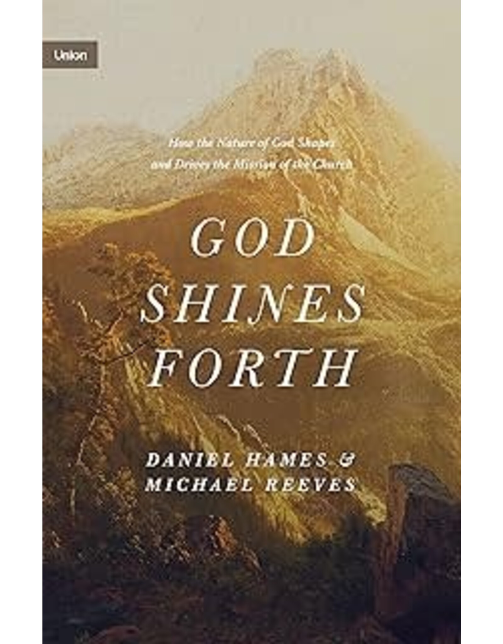 Michael Reeve God Shines Forth