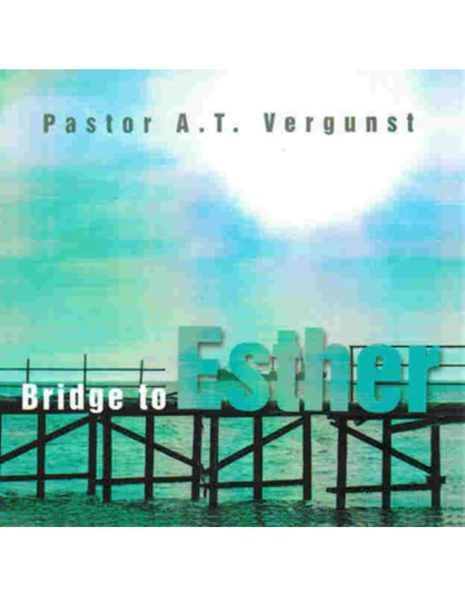 Arnoud T. Vergunst Bridge to Esther