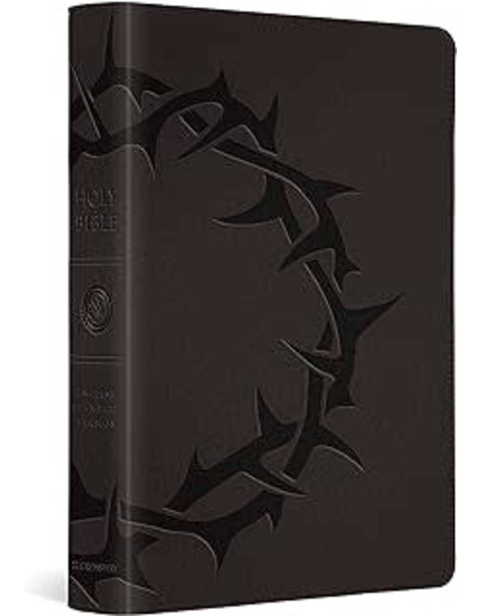 ESV Large Print Compact Bible: Charcoal