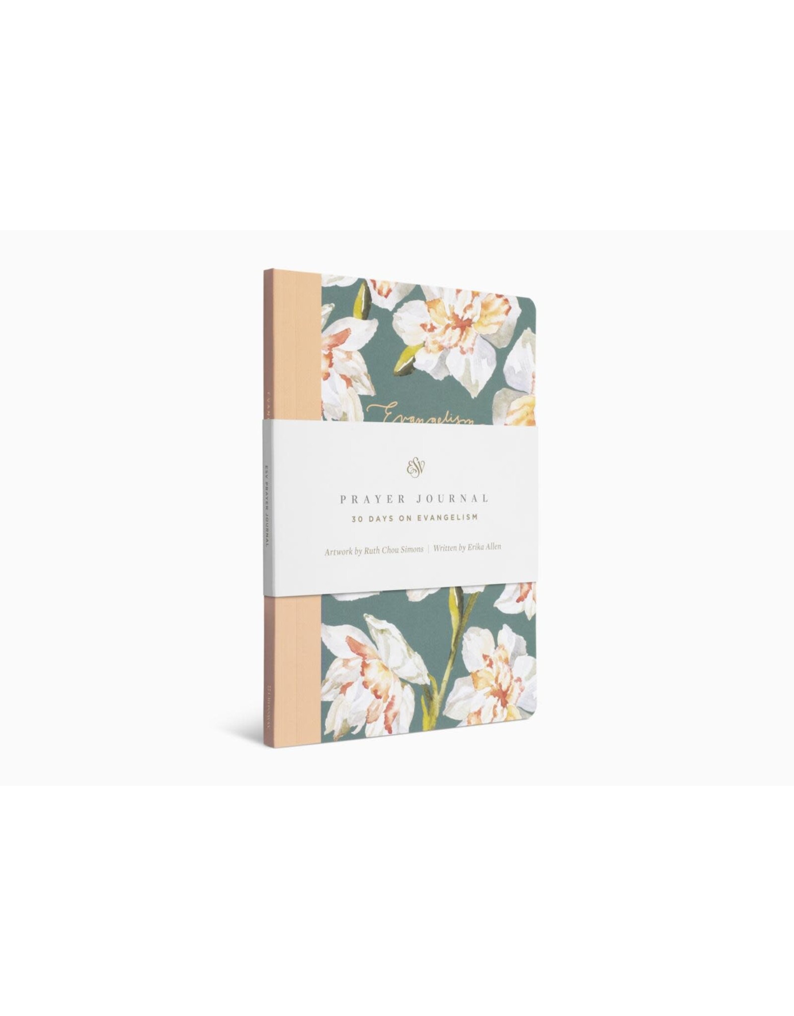 Erika Allen ESV Prayer Journal: 30 Days on Evangelism