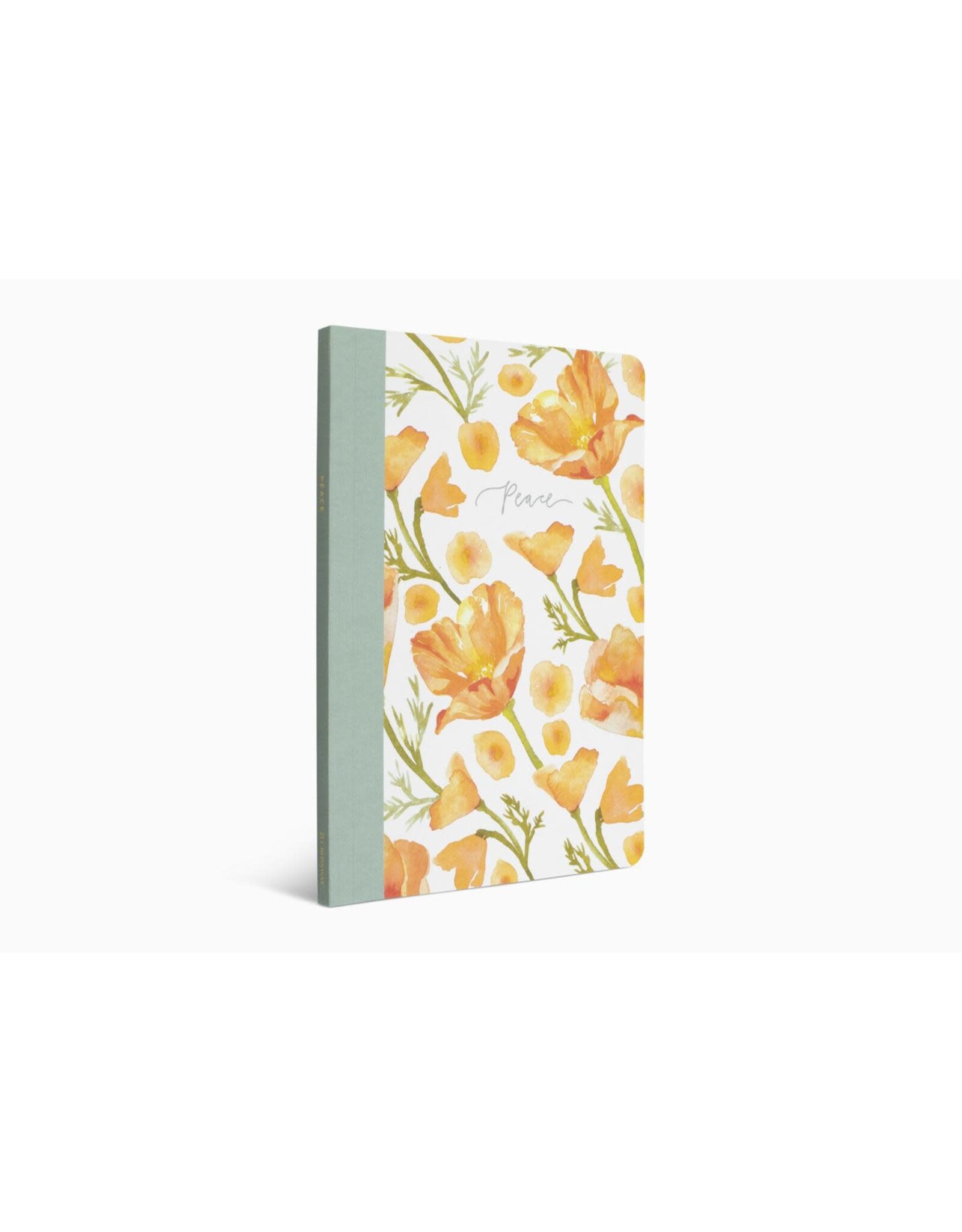 Erika Allen ESV Prayer Journal: 30 Days on Peace