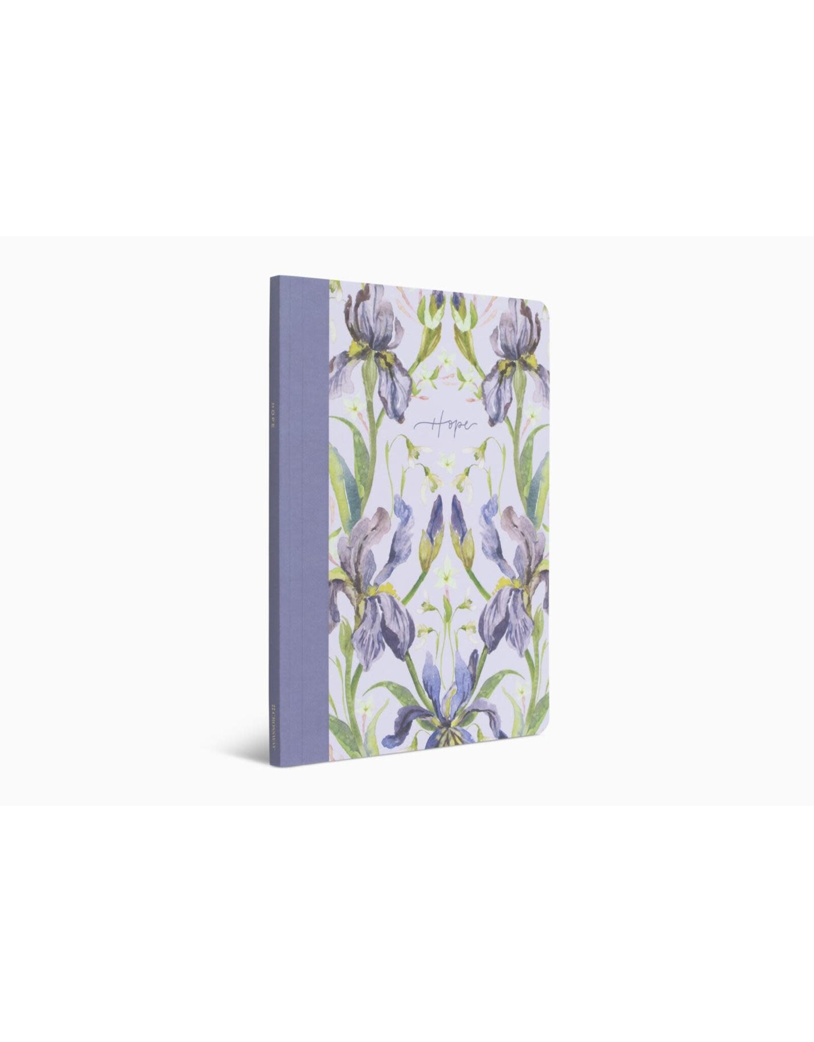 Erika Allen ESV Prayer Journal: 30 Days on Hope