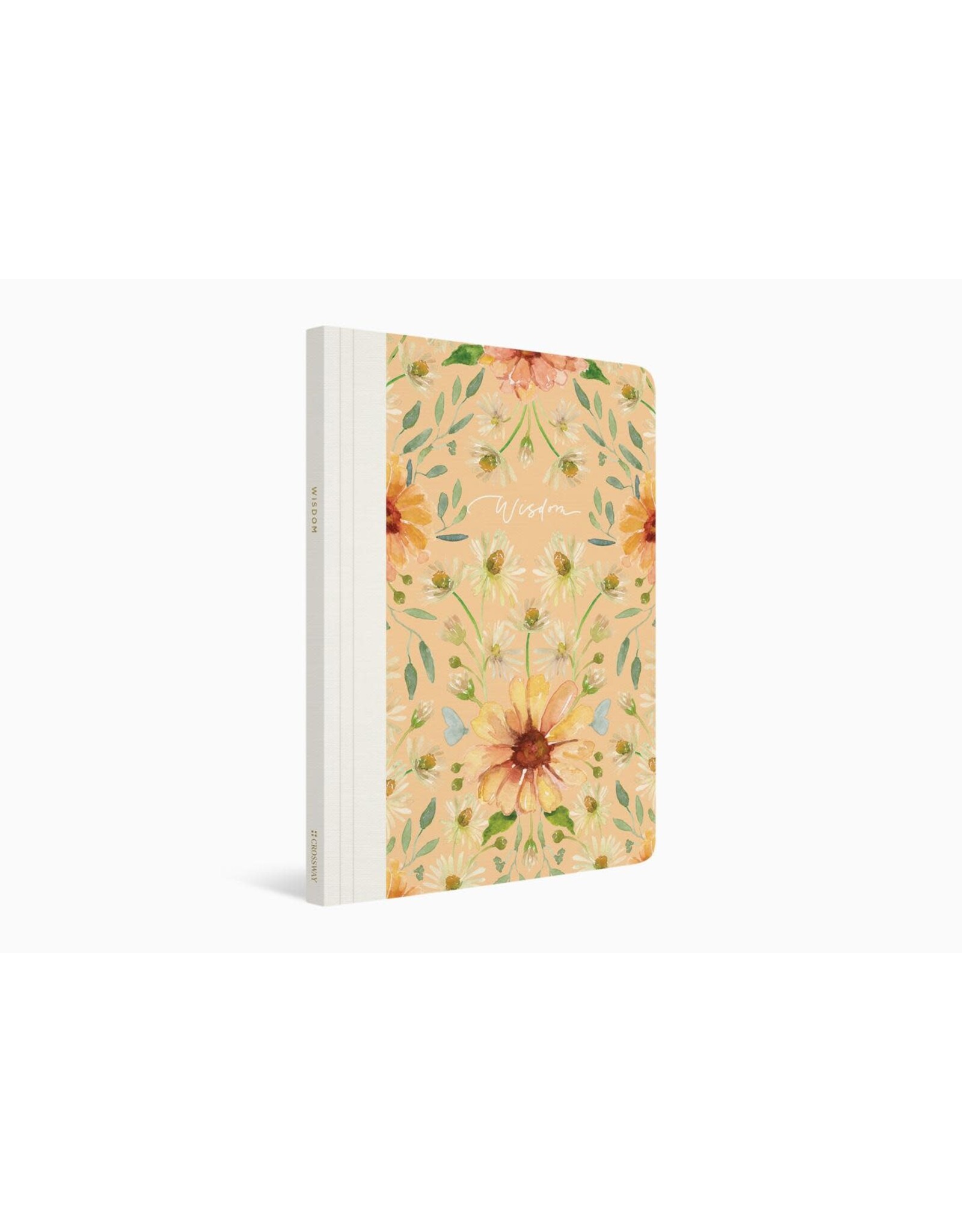 Erika Allen ESV Prayer Journal: 30 Days on Wisdom