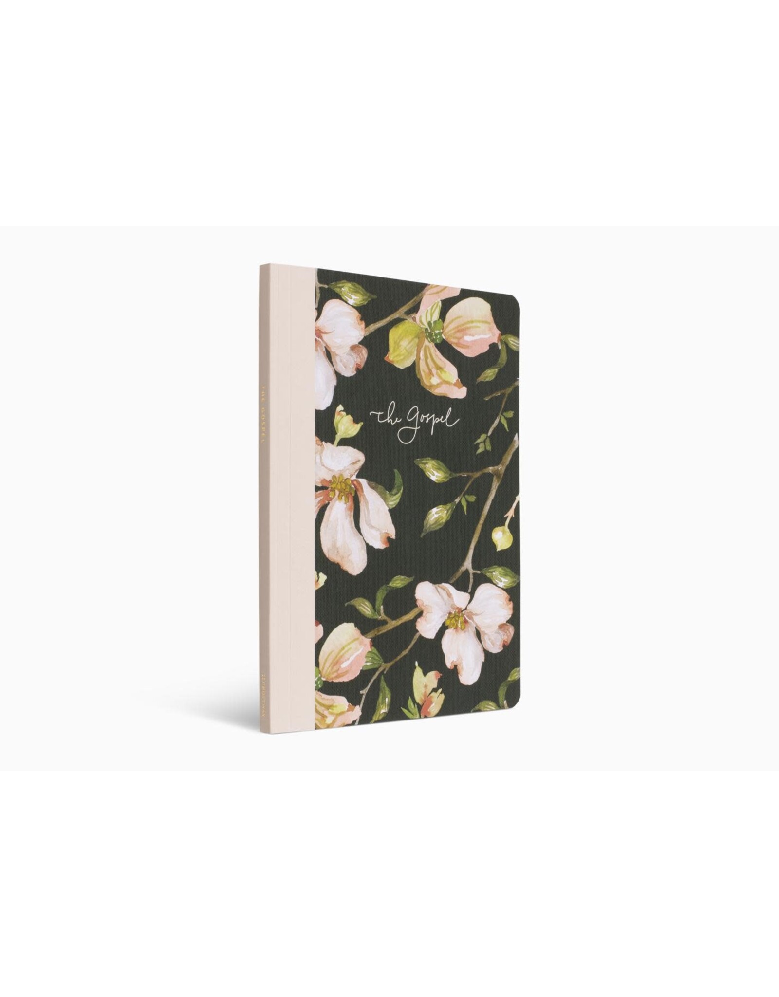 Erika Allen ESV Prayer Journal: 30 Days on the Gospel